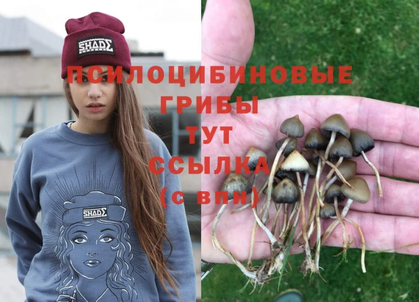 спайс Абинск