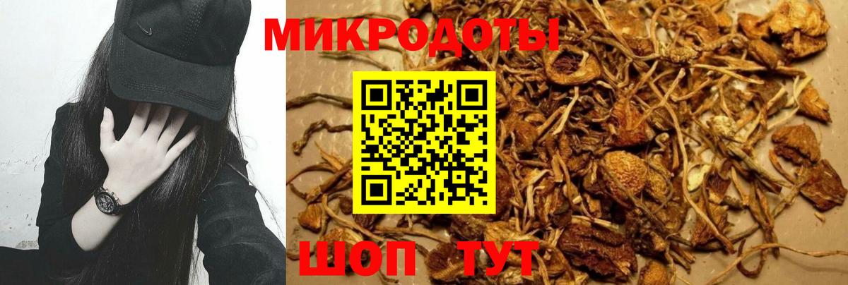 Псилоцибиновые грибы Psilocybe  Вход с VPN  Гагарин 