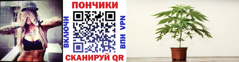 Марихуана конопля  Гагарин 
